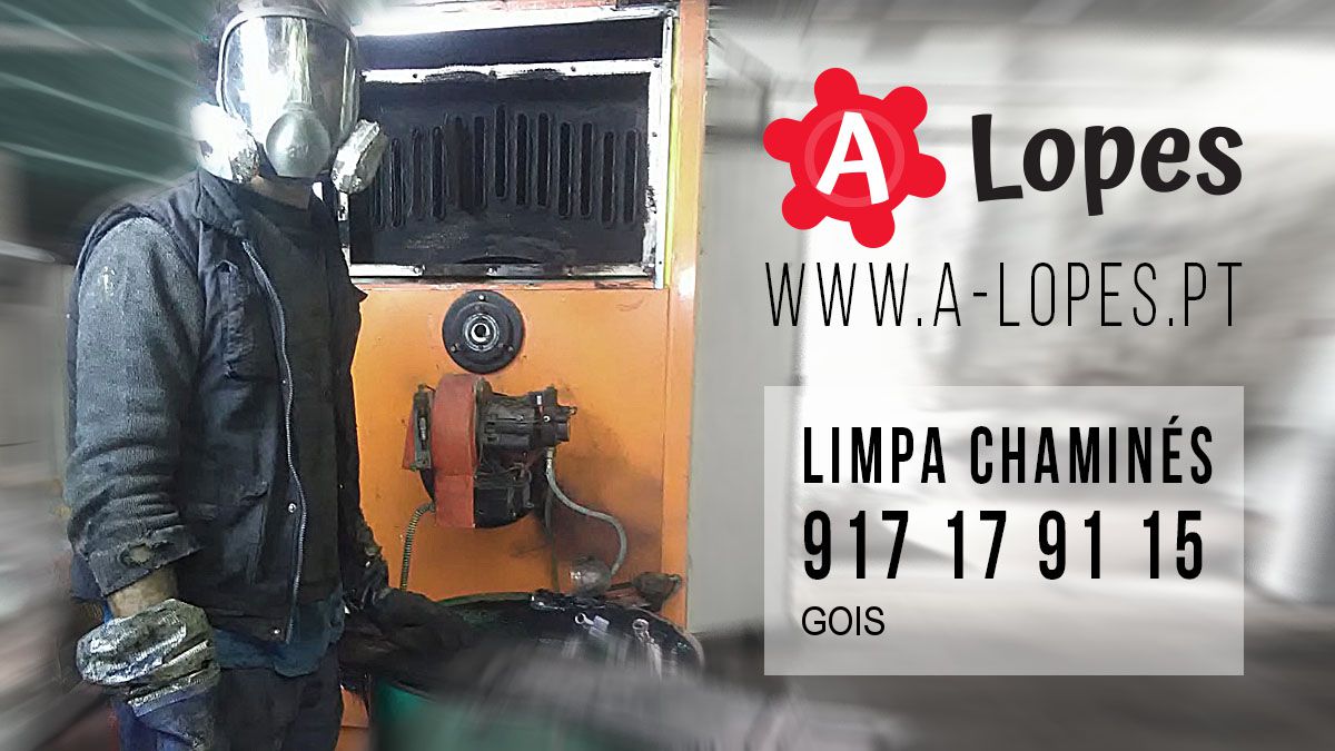 Limpeza de Chaminés Góis